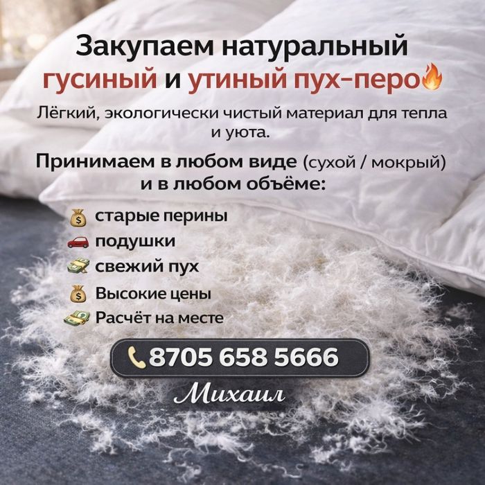 Закупаем натуральный гусиный и утиный пух-перо! 
Лёгкий, экологическ