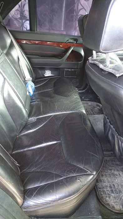 Кабан на разбор или целиком