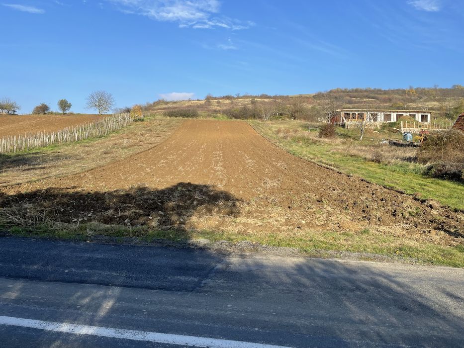 Vand teren la Dunare, DN 57, Liubcova (comuna Berzasca)