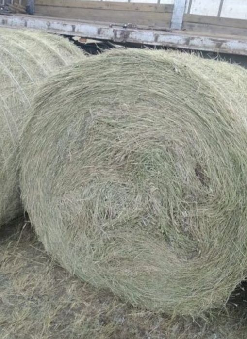 Сено с доставкой рулон