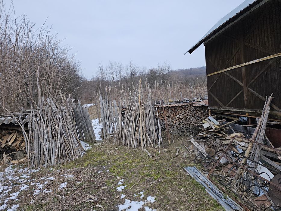 Casă Bumbești-Pițic