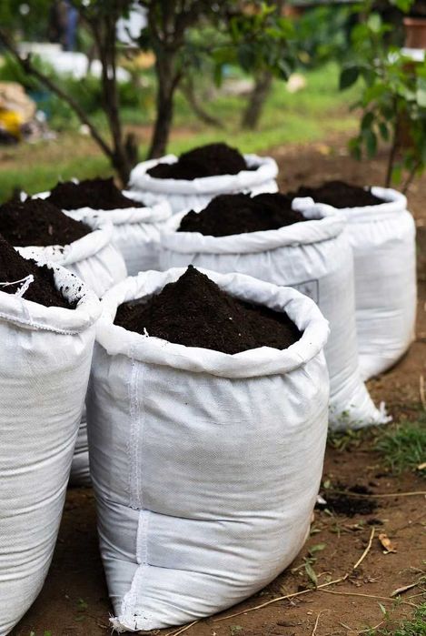 Pamânt negru grădină