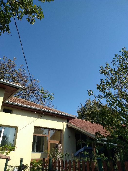 Рязане на опасни дървета и клони. Оформяне и поддръжка.