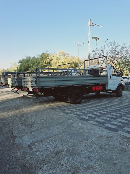 Gazel Gurzavoy Sotiladi