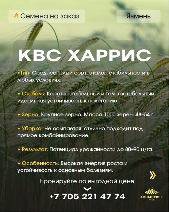 Семена Ячменя !!!