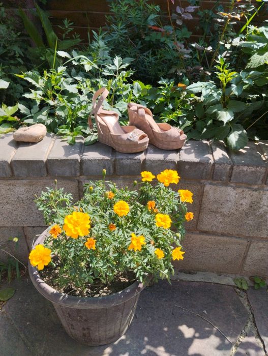 Продам несколько туфель