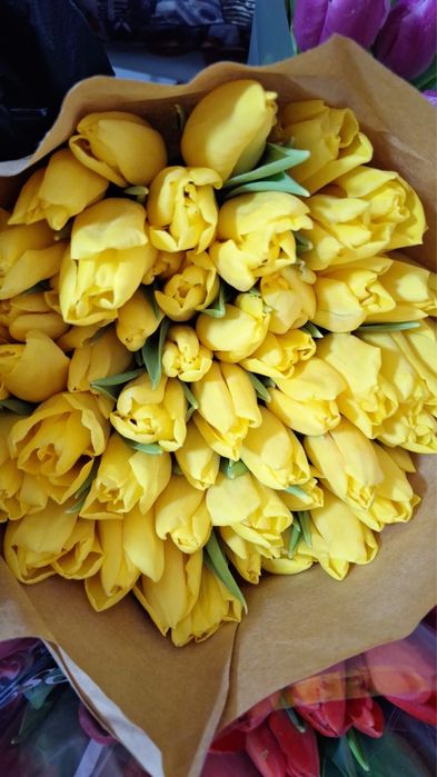 Продам тюльпаны Темиртау