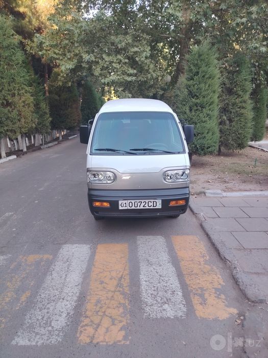 Damas ozimmiki gen ham bor
