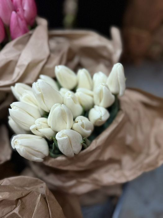 Тюльпаны оптом и в розницу