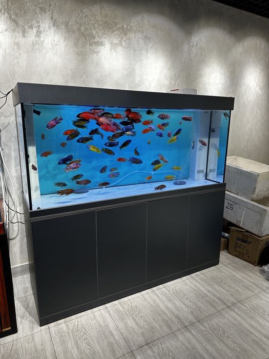 Аквариум премиум класса Aquashop