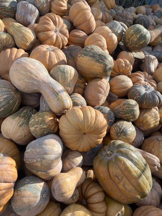 Тыква сладкая 250 тг