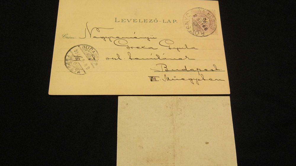 Ilustrata,Carte Postala,Litografie,Bancnota 20 Pengo,ROZSNYO 1899