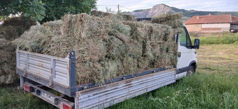 Vând lucernă balot dreptunghiular de 85