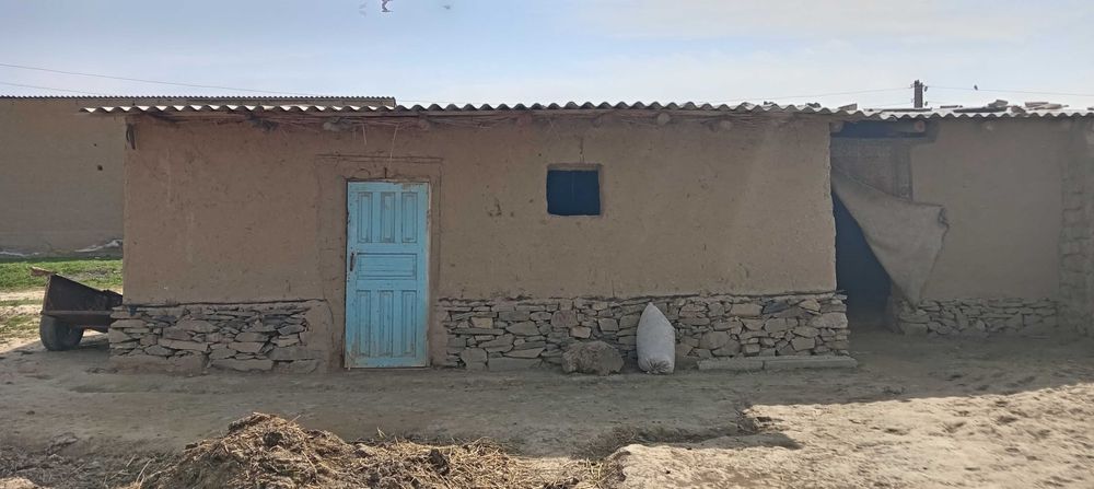 Agar olsangiz sizga skidka ham qo'shib beramiz