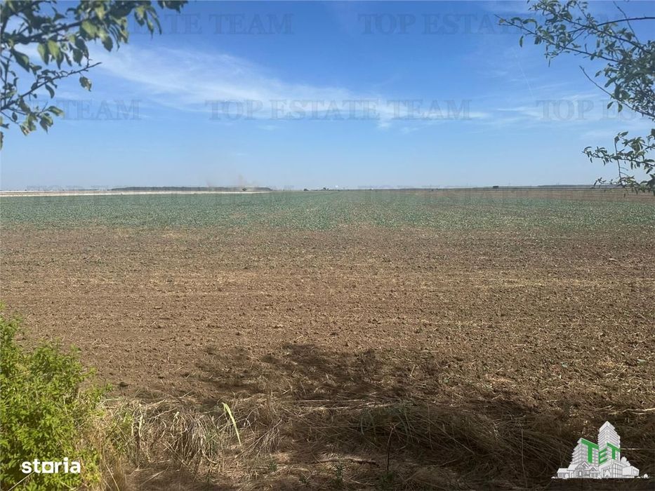 Vanzare teren intravilan construibil, in Branesti-Ilfov, 1330 mp, idea
