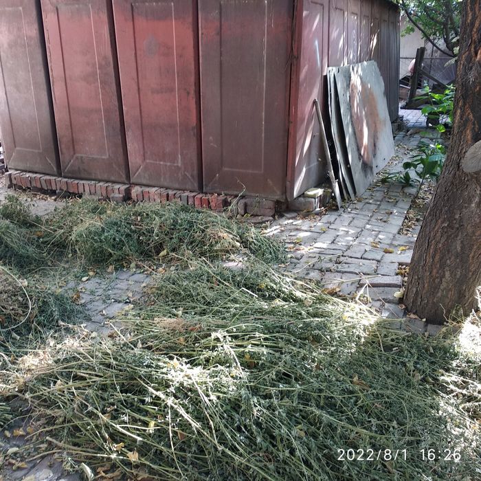 Гараж ЕГИМА.  40