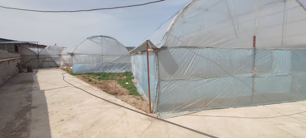 Сдам в аренду теплицу