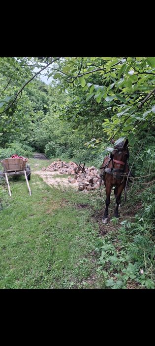 Iapa de tracțiune