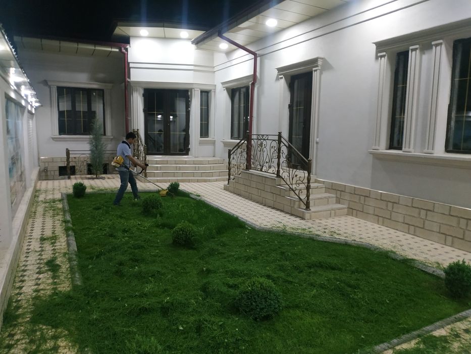 Gazon. Yovvoyi o't. Beda va xashak o'rish xizmati