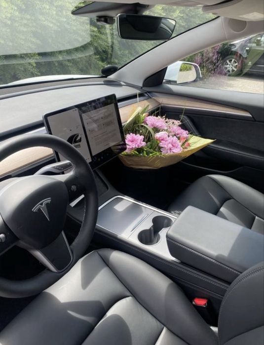 Tesla Model Y Standart
