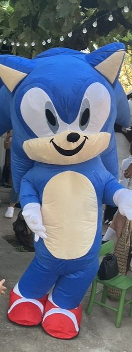 Соник и Стич костюми