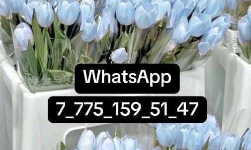 Однакомнатая Майкудук Восток 3