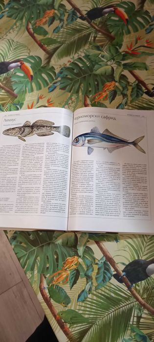 Българска риболовна енциклопедия