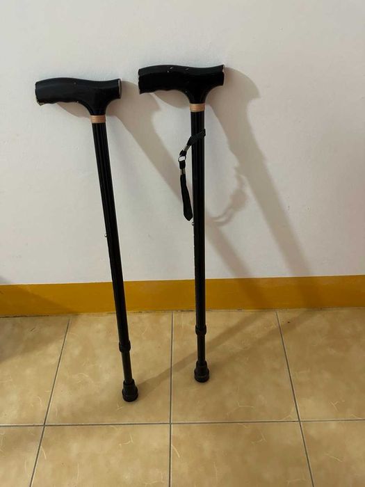 Трость для ходьбы парные