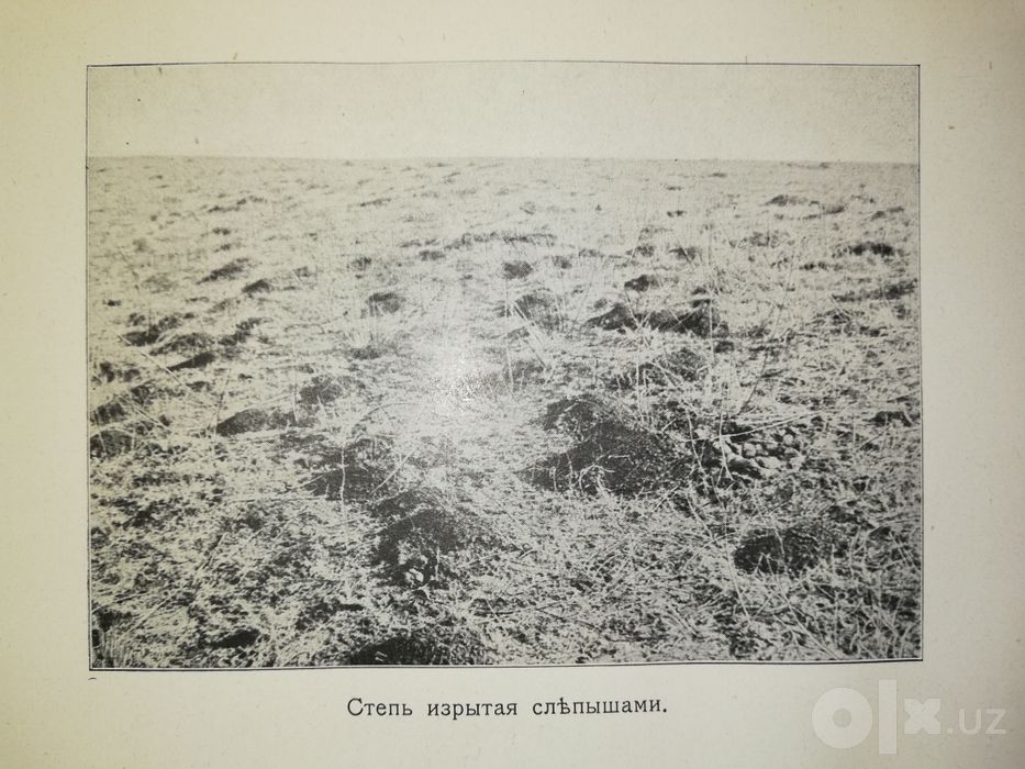 Почвы долины реки Чу.