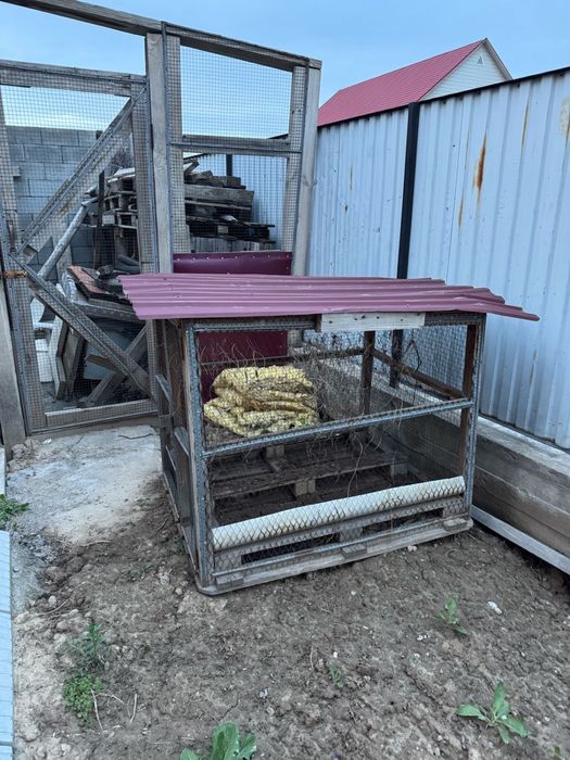 Брудер и сетка для цыплят