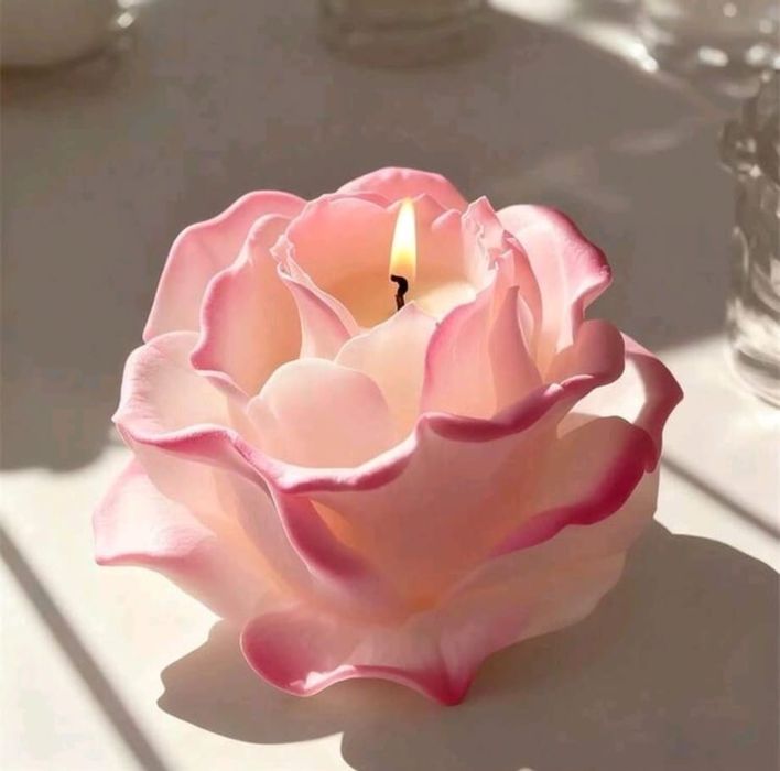 Нови модели молдове