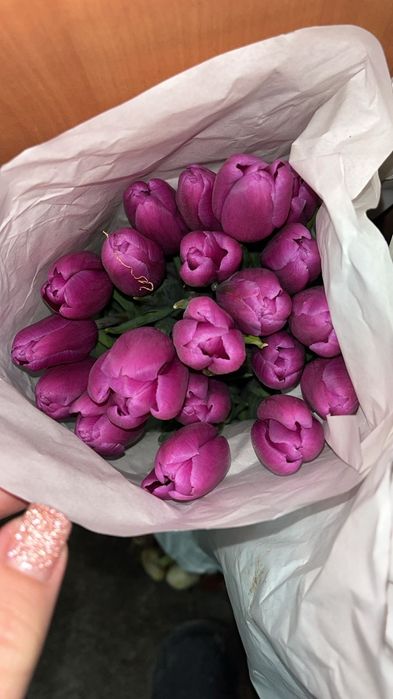 Тюльпаны голландские. СКИДКА!