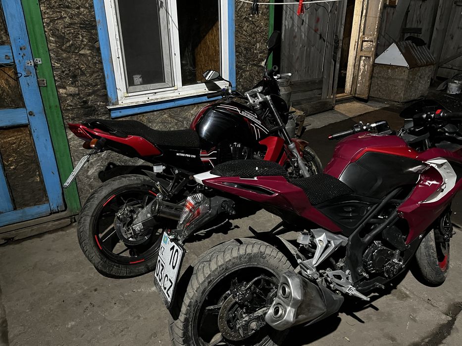 Raser nitro 2021