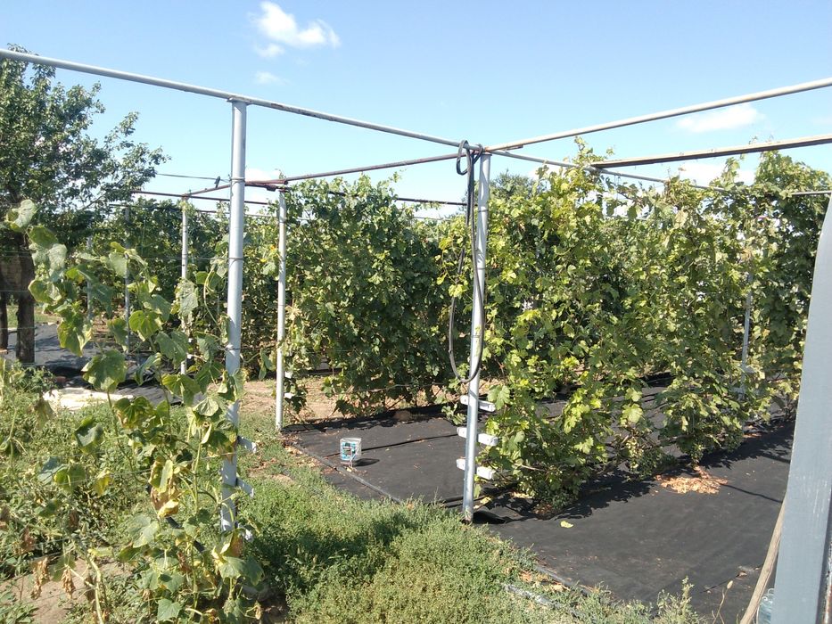 Продам Дом!п.Рубежка