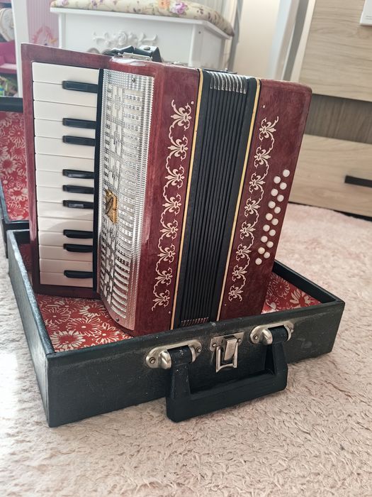 Акордеон 16 баса за дете
