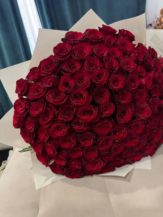 Крассные розы 101