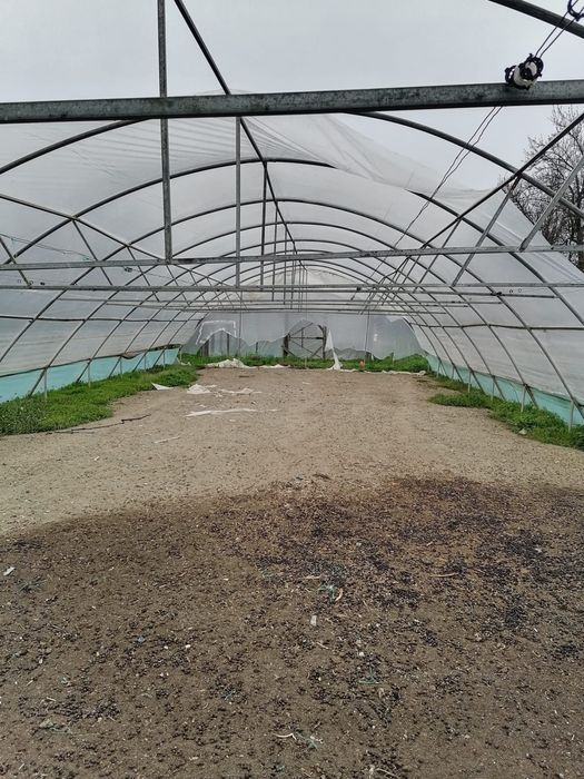 Solar profesional 400m2 teava galvanizata