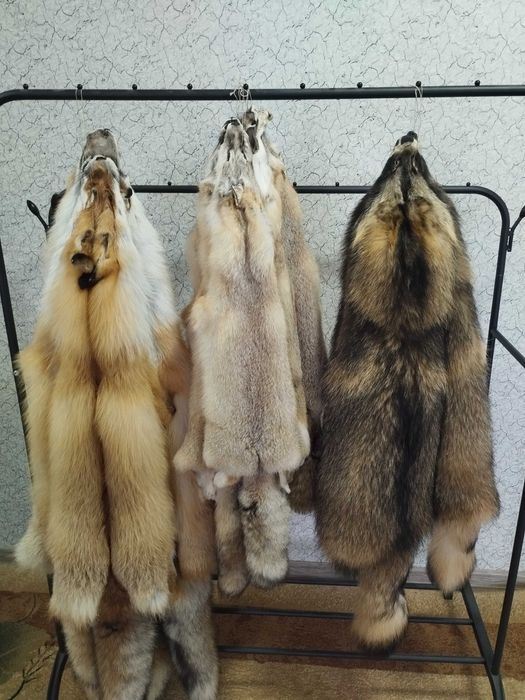 Шкуры натуральные