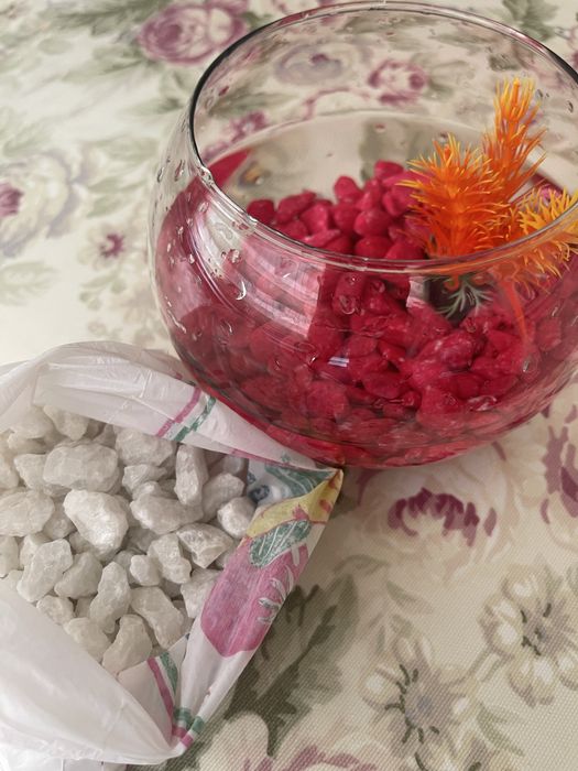 рыба тернеция полный набор