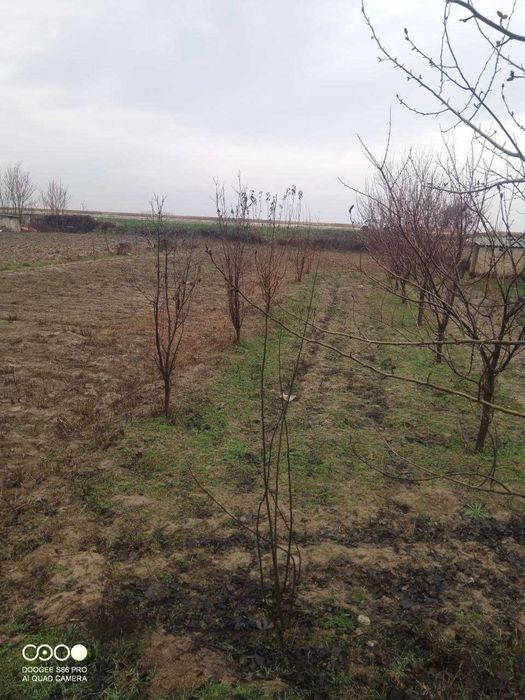 Уй,ер,дом,дача,сотилади,1хона,17 сотх,ер унумдор,кадастр хужжатлар бор