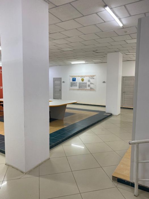 Кабинет 38кв м сдаю