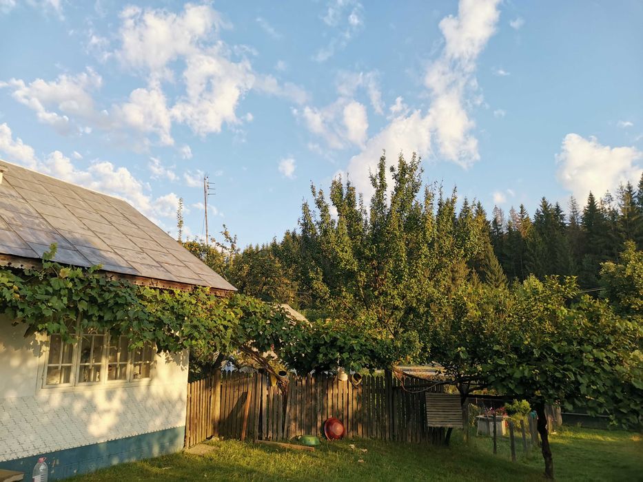 Vand teren intravilan cu casă – 7400 mp în Sasca Mare, Suceava
