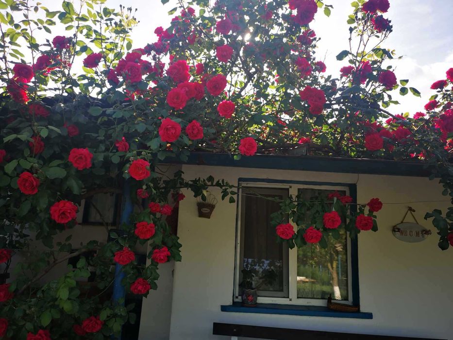 Продава се Промишлена сграда в Добрич, Дружба 3 - 1500 кв.м за 334 €/кв.м - Снимка #18