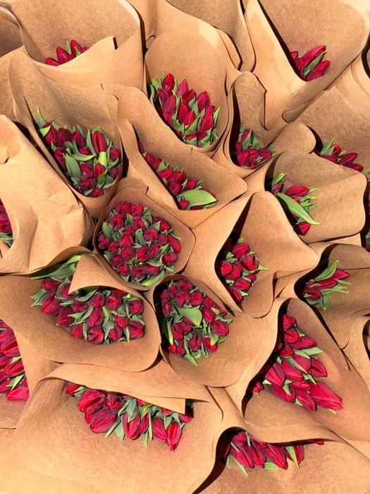 Тюльпаны в розницу