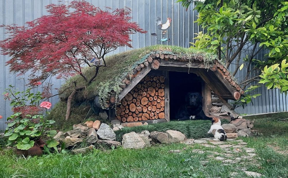 Cușcă pentru câine tip Hobbit