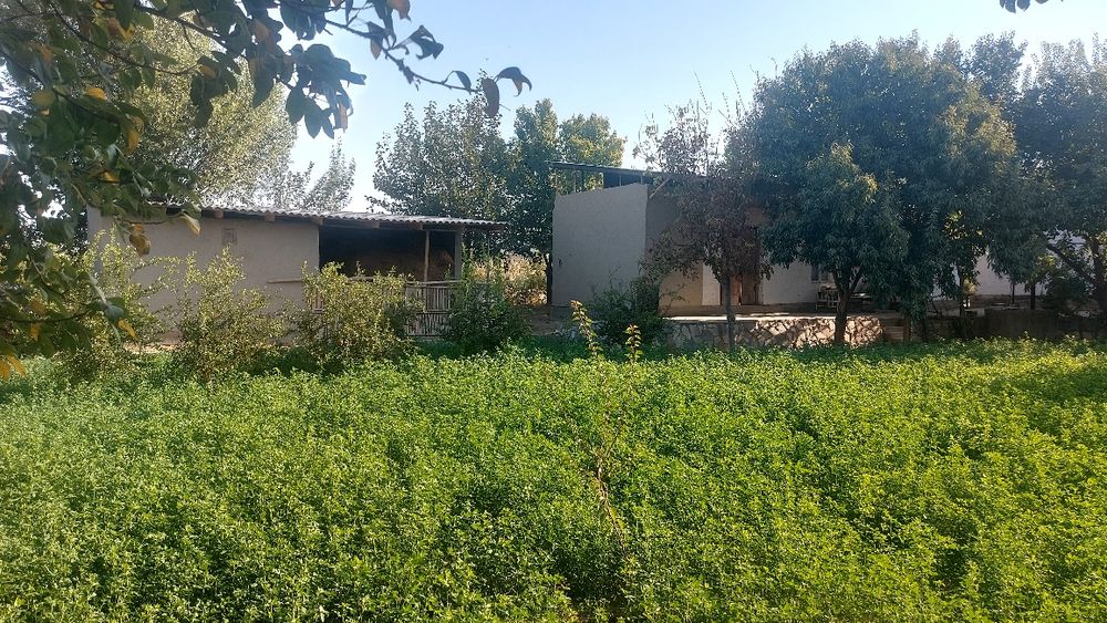 Ховли сотилади 15 сотикли