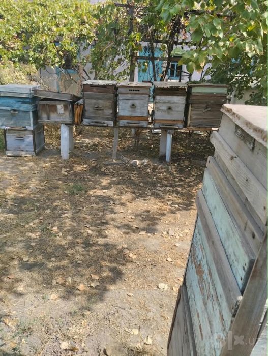 Продается улья для пчел