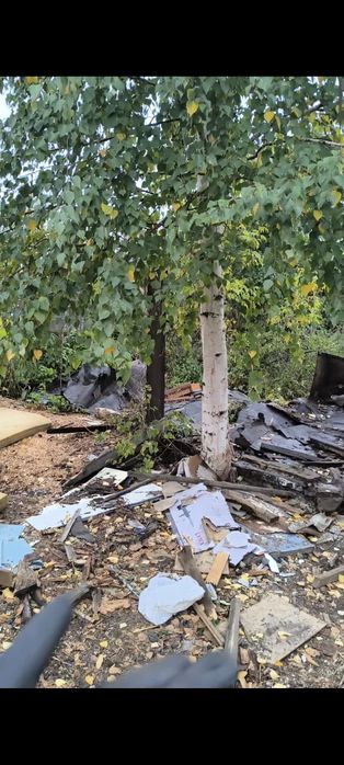 Спил (распил) деревьев кустов