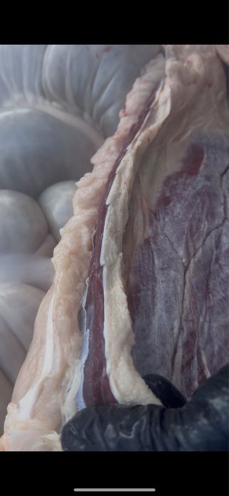 Жарты тай еті сатылады