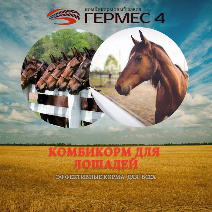 Комбикорм для всех направлений